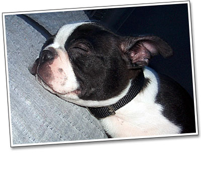 Coby comes home