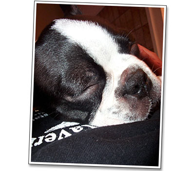 Coby