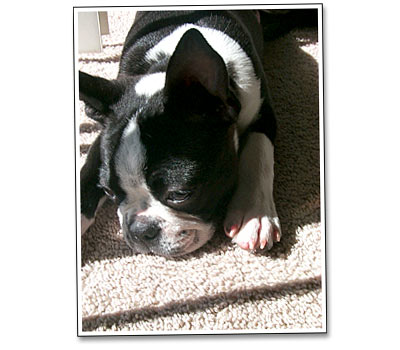 Coby