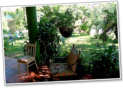 Our view from the backdoor
